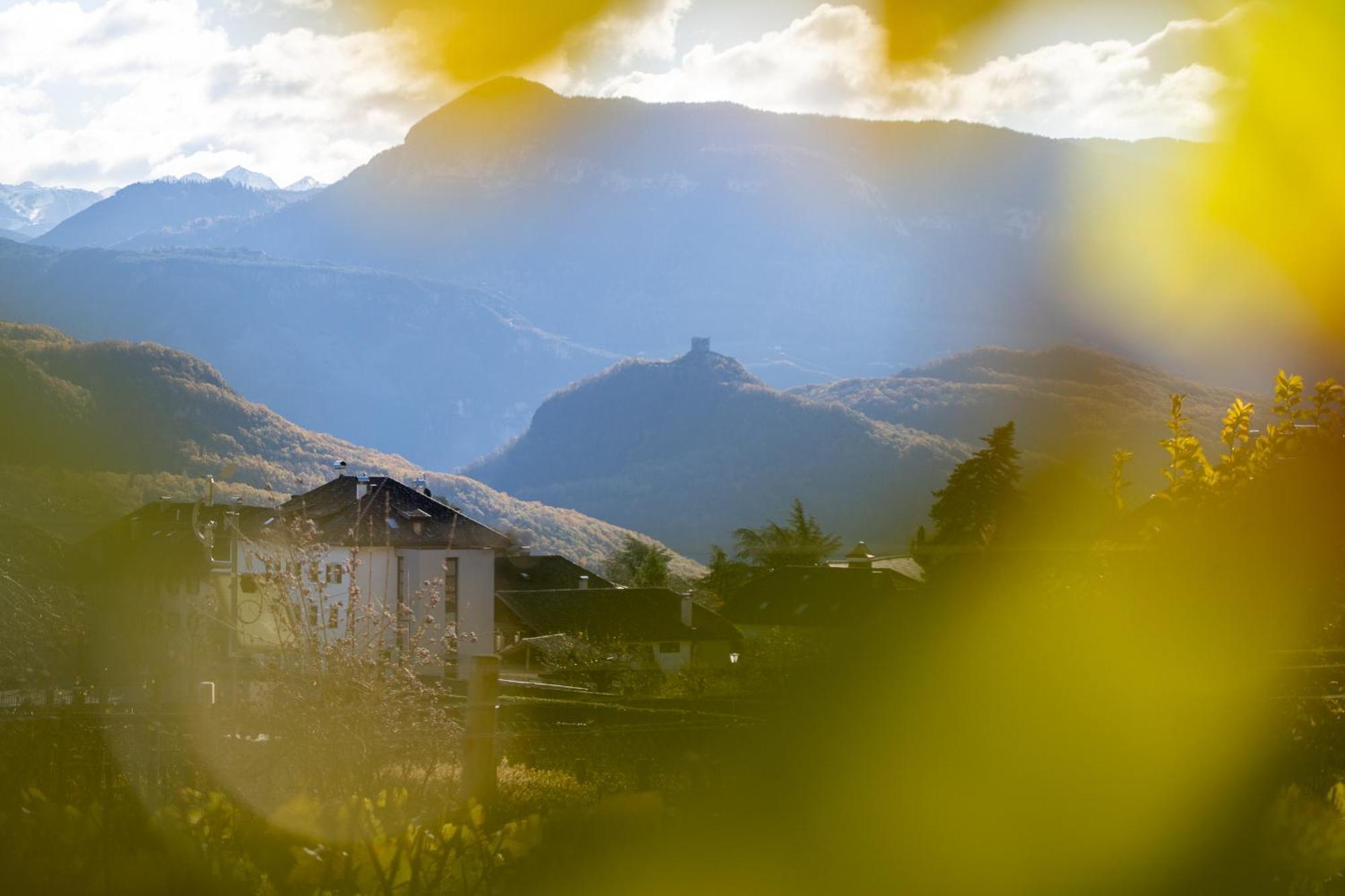 Castel Sallegg Suites Adults Only Caldaro Eksteriør billede