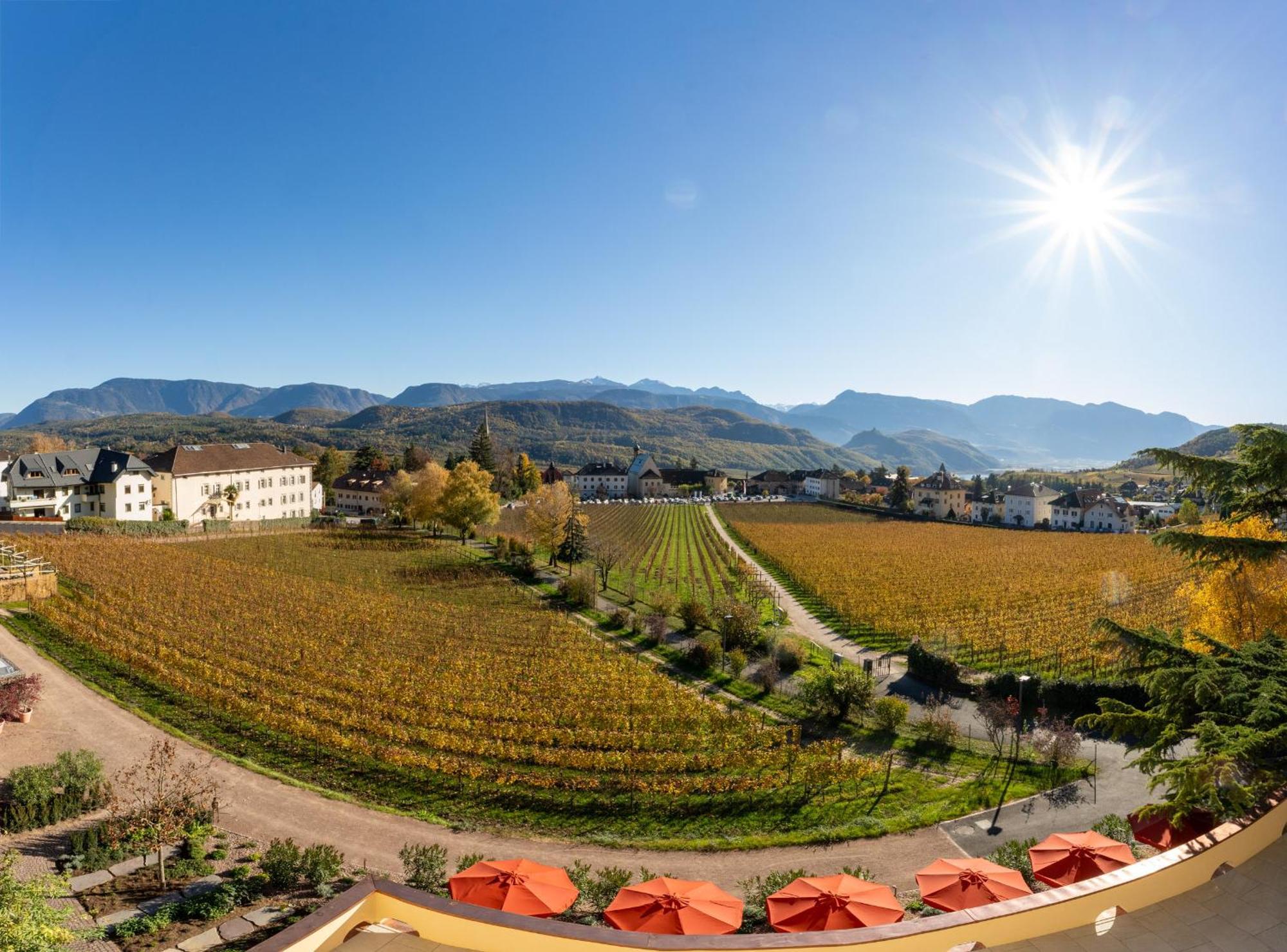Castel Sallegg Suites Adults Only Caldaro Eksteriør billede